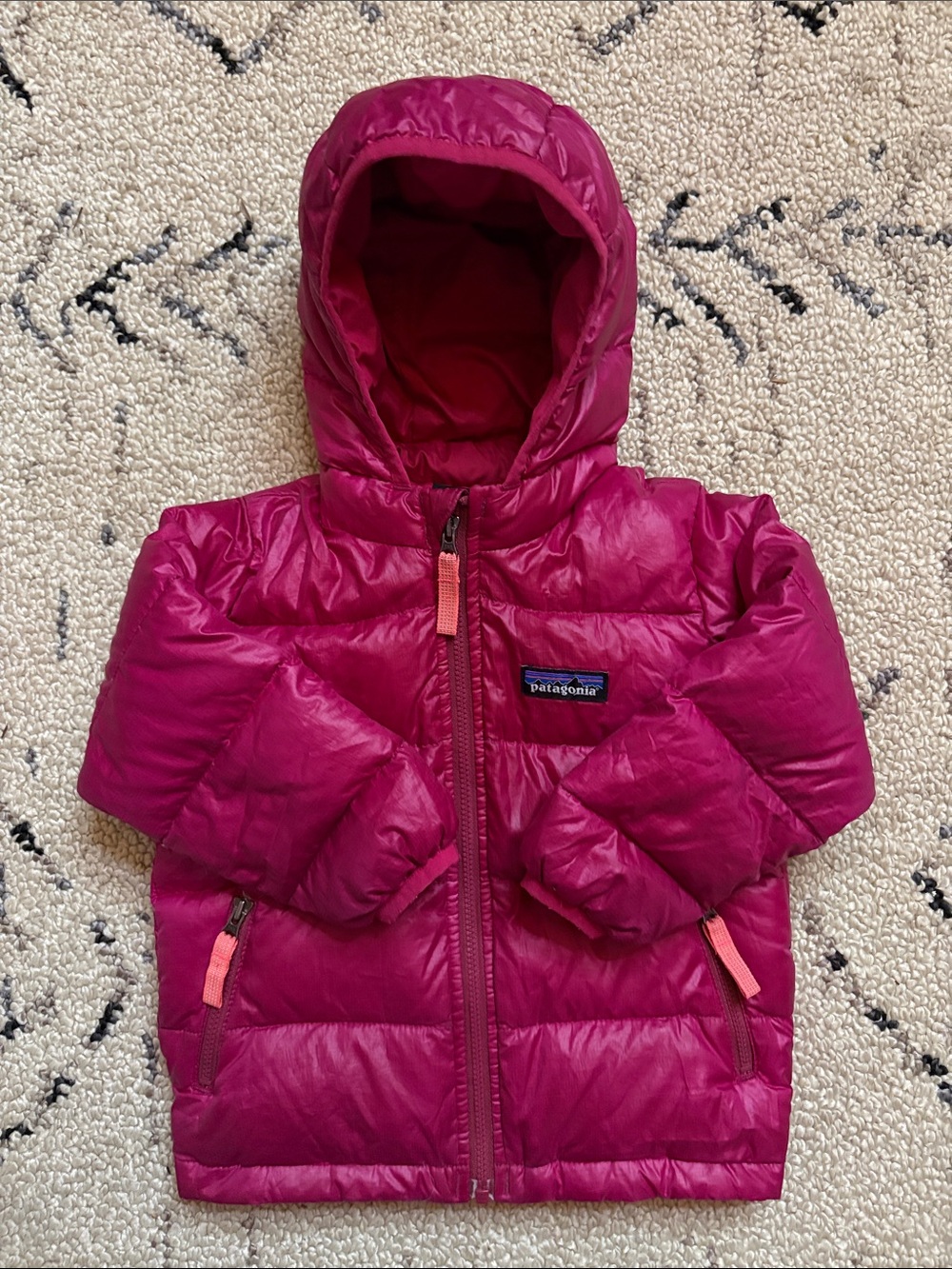 Patagonia Kids Hooded Puffer Jacket (2T)